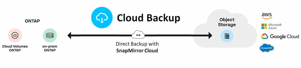 What-is-NetApp-cloud-backup